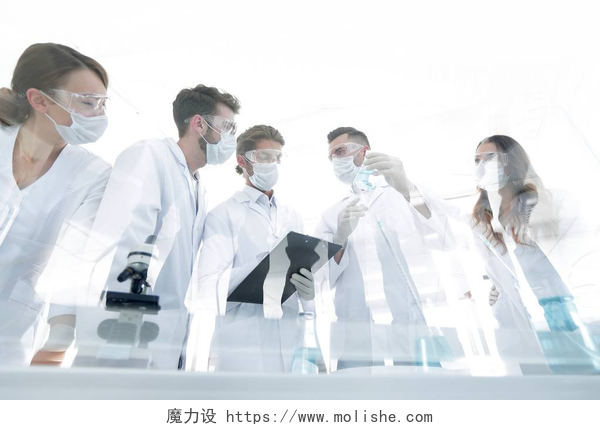 白色背景下的五个研究员与试管和显微镜在实验室工作的科学家们